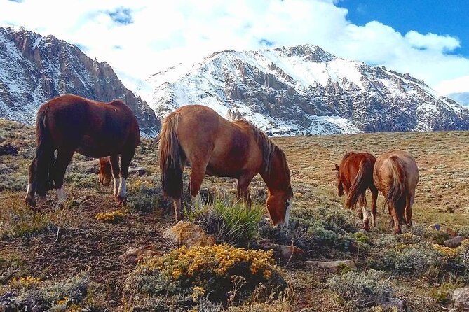 Portillo & Inca Lagoon Private Andes Experience + Chilean Wine - Los Caracoles brings the Andes into view