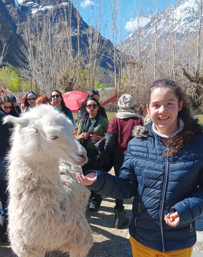 Portillo + Laguna del Inca with picnic - Chacabuco Victory Monument and the road into the Andes