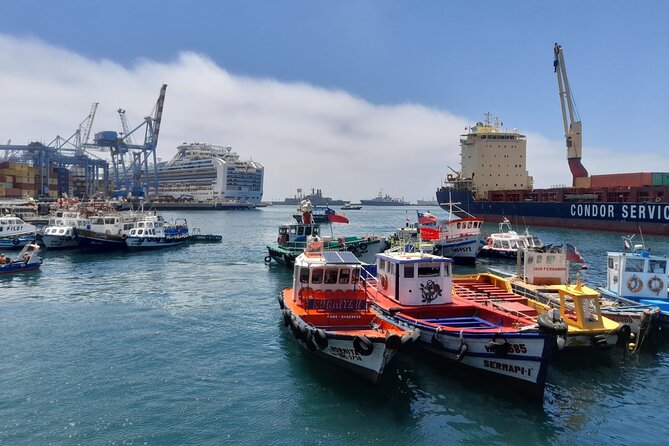 Post-Cruise Valparaíso & Viña del Mar Tour to Santiago 4-Pax Deal - Key points to know before booking