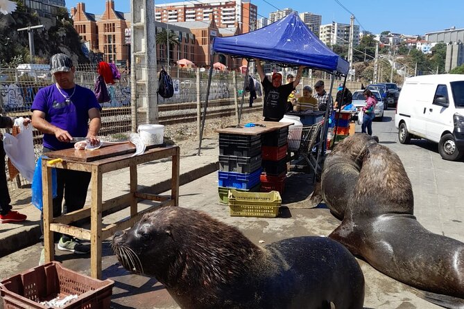 Post-Cruise Valparaíso & Viña del Mar Tour to Santiago 4-Pax Deal - Meeting your guide at the cruise port
