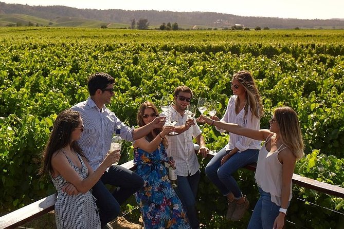 Pre or Post Valparaiso Cruise with Santiago City Tour and optional Vineyard - Bellavista, the river parks, and Santiago’s cultural side