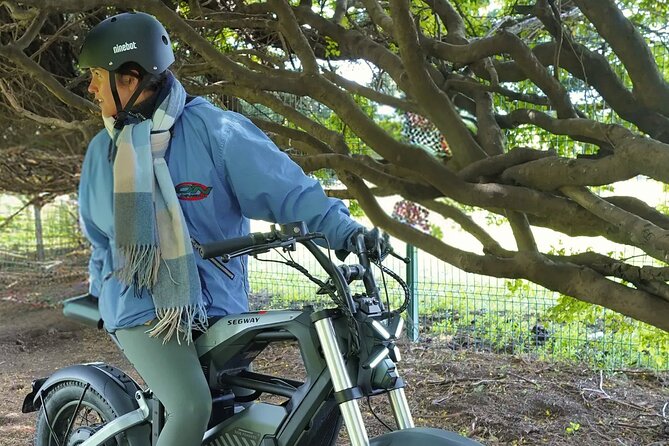 Premium Electric Segway Rentals in Punta Arenas - Who will enjoy this ride most