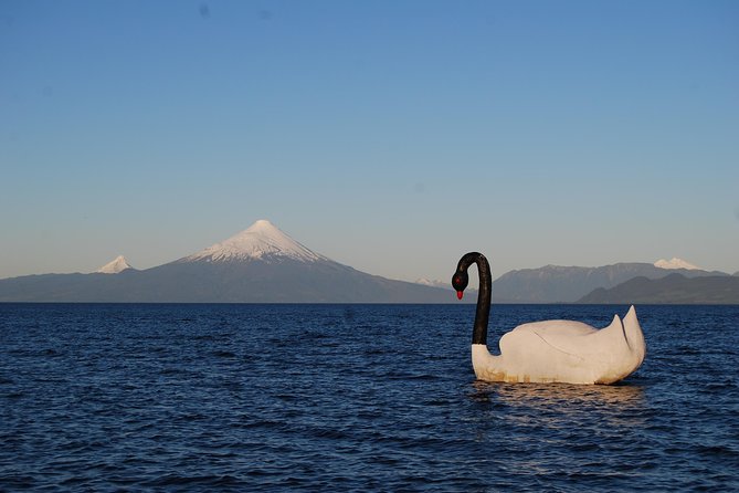 Premium Small-Group Half day Tour to Frutillar in Puerto Varas - The first stop at Lake Llanquihue