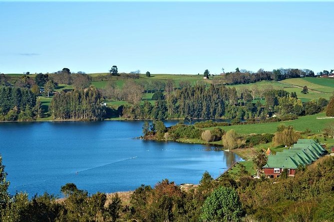 Premium Small-Group Half day Tour to Frutillar in Puerto Varas - The small-group vehicle and morning schedule
