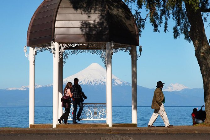 Premium Small-Group Half day Tour to Frutillar in Puerto Varas - Who should book this Frutillar tour?