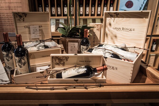 Premium Wine Tasting and Private Transport to Casas del Bosque - Why This Half-Day Wine Trip Works From Santiago
