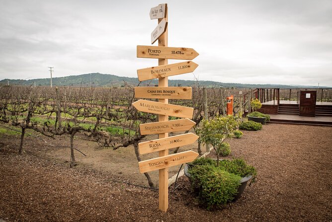 Premium Wine Tasting and Private Transport to Casas del Bosque - Who Will Enjoy This Experience Most?