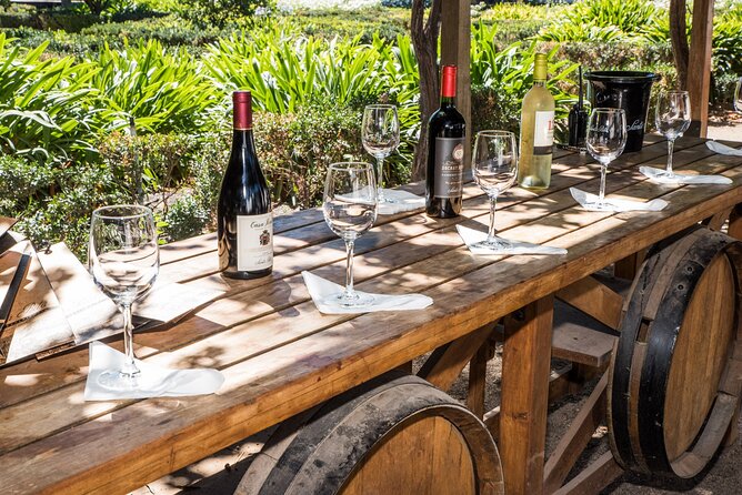 Premium Wine Tasting and Tour at Santa Rita + Private Transport - From Santiago to Santa Rita in private comfort