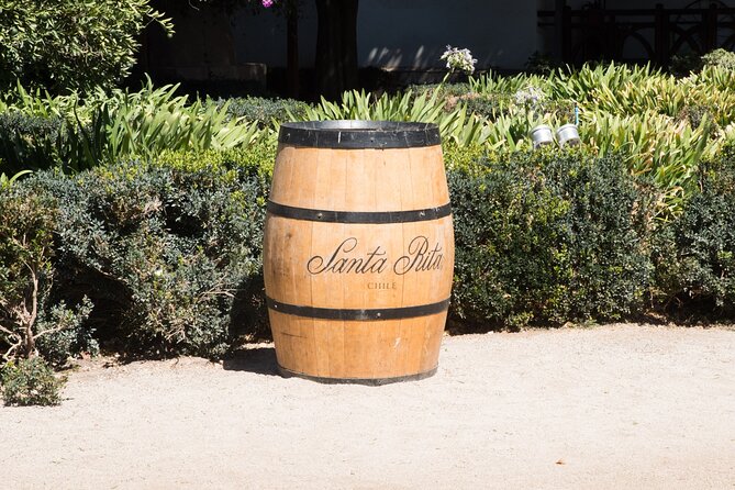 Premium Wine Tasting and Tour at Santa Rita + Private Transport - The Andean Museum adds a welcome cultural change