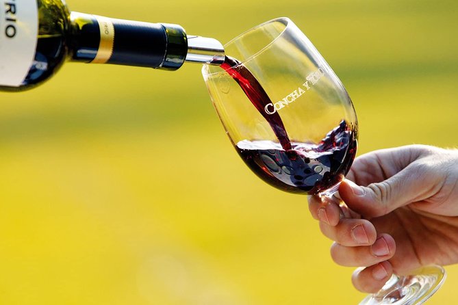 Premium Wine Tasting in Santiago de Chile - What happens at José Victorino Lastarria 276