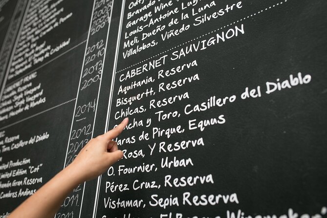 Premium Wine Tasting in Santiago de Chile - How much instruction should you expect?