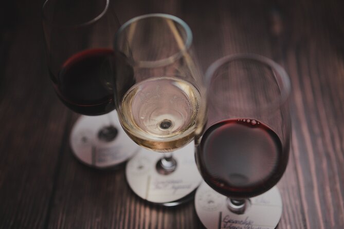Premium Wine Tasting in Santiago de Chile - Price and what the $77 fee really buys