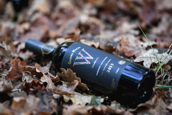 "Premium Wine Tour" Viña Cousiño Macul Official english - Key details before you book