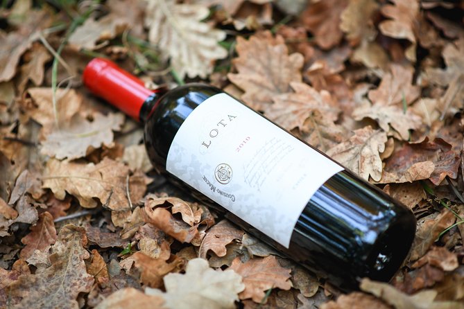 "Premium Wine Tour" Viña Cousiño Macul Official english - Three wines, useful explanations, and small pairings