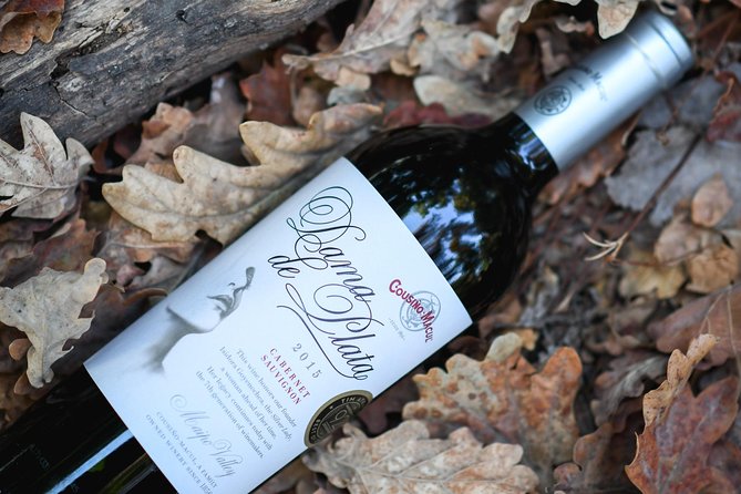 "Premium Wine Tour" Viña Cousiño Macul Official english - Is $45 a fair price?