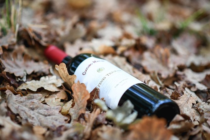 "Premium Wine Tour" Viña Cousiño Macul Official english - Booking timing and cancellation details