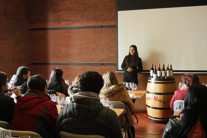 "Premium Wine Tour" Viña Cousiño Macul Official english - Walking through old cellars and premium vines