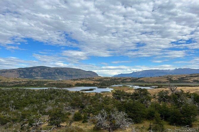 Private Bird Watching Experience in Cerro Castillo - Why this Cerro Castillo outing is different