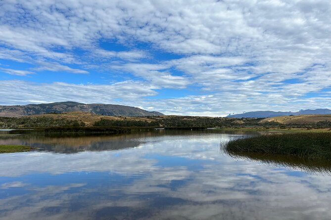 Private Bird Watching Experience in Cerro Castillo - The 7-kilometer walk through forest and wetlands
