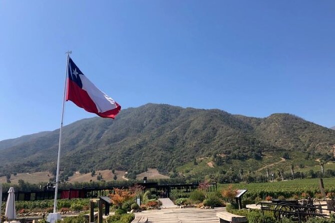 Private Chilean Wine Route Colchagua Valley Day Trip - Viña Montes: Vineyards, Gregorian music, and serious bottles