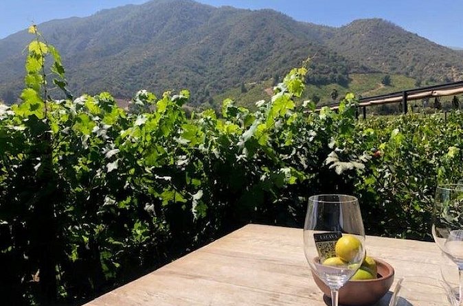 Private Chilean Wine Route Colchagua Valley Day Trip - Practical advice before you go
