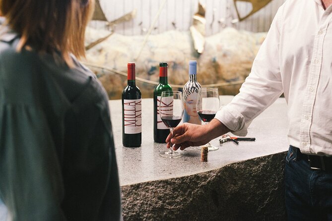 Private Colchagua VIK and Montes Wineries Experience - Key things to know before booking
