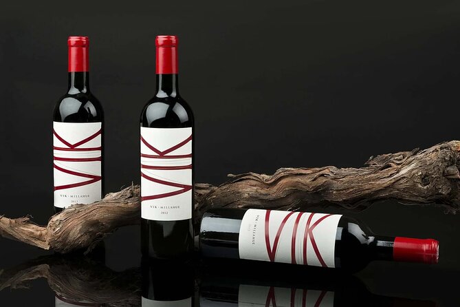 Private Colchagua VIK and Montes Wineries Experience - The early drive from Santiago to Colchagua