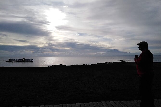 Private Day Tour Frutillar, Puerto Varas and Puerto Montt - How much value do you get for $320?