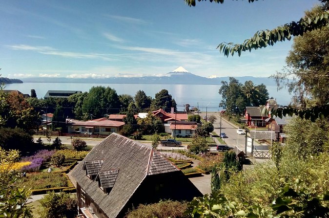 Private Day Tour Frutillar, Puerto Varas and Puerto Montt - Who will enjoy this experience most?