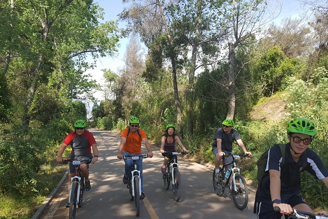 Private Full-Day Bike Tour of Santiago Cultural 5-6 hrs - La Moneda and Chile’s Political Past