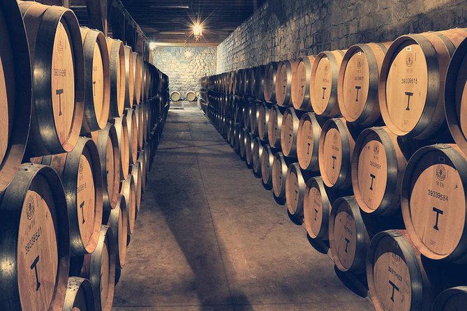 Private Full Day City Tour of Santiago with Wine Experience - Cerro Santa Lucia, a compact city viewpoint