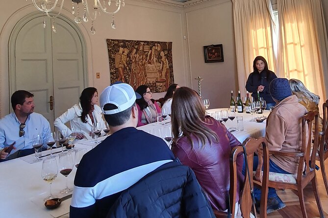 Private Full Day Tour of Viñas Tarapacá and Santa Ema Isla de Maipo - Zinfandel at Viña TerraMater: a proper lunch stop