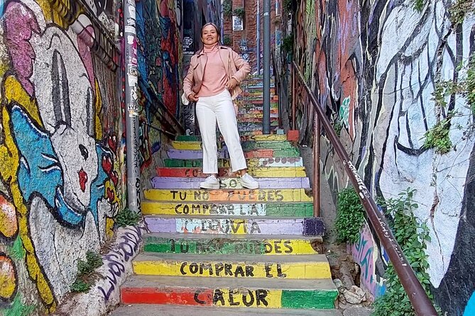 Private Full-Day Tour to Valparaiso Viña del Mar and Reñaca - Who will get the most from this outing