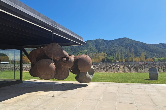 Private Full Day Tour to VIK Winery with Gourmet Lunch - Why the Private Format Matters