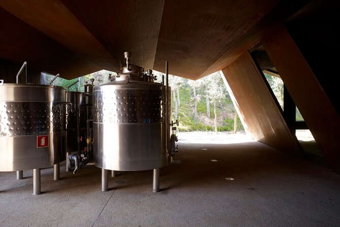 Private Full Day Tour to VIK Winery with Gourmet Lunch - What the Positive Feedback Tells You