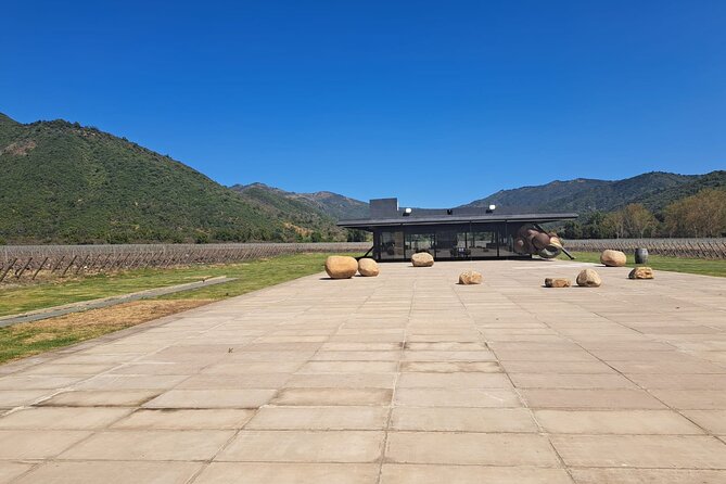 Private Full Day Tour to VIK Winery with Gourmet Lunch - Timing, Comfort, and What to Bring