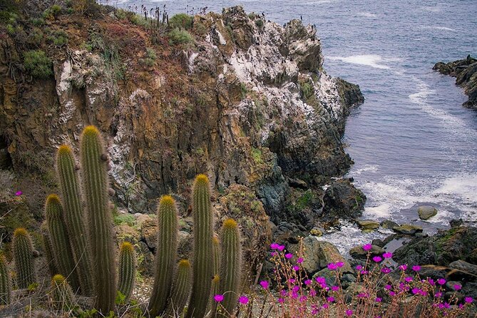 Private Garden Tour in Central Coast of Chile with Lunch included - The day at a glance