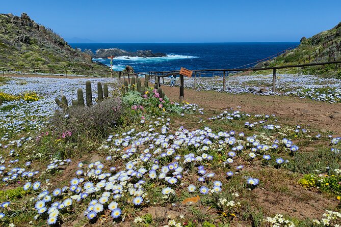 Private Garden Tour in Central Coast of Chile with Lunch included - Why this coast is worth leaving Santiago for