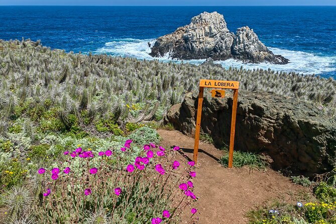Private Garden Tour in Central Coast of Chile with Lunch included - Puquén: three hours among plants, rocks, and sea spray