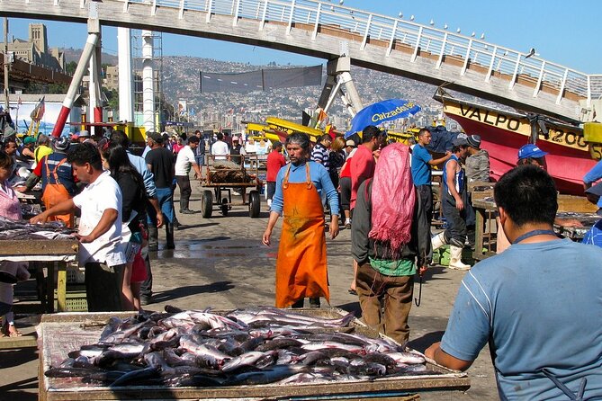 Private Gastronomic Tour Valparaiso - What the $70 price includes and leaves out