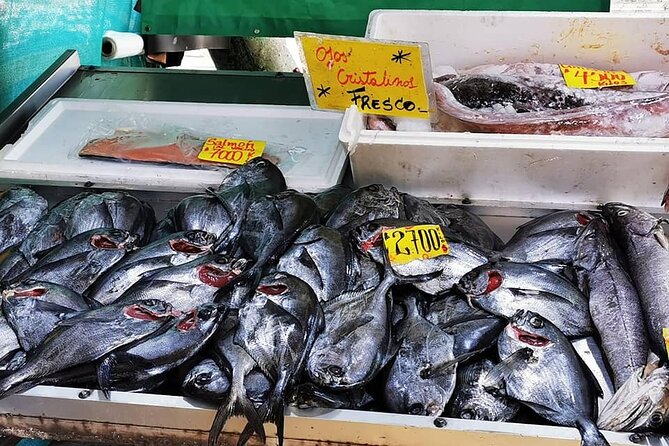 Private Gastronomic Tour Valparaiso - Who should book this experience