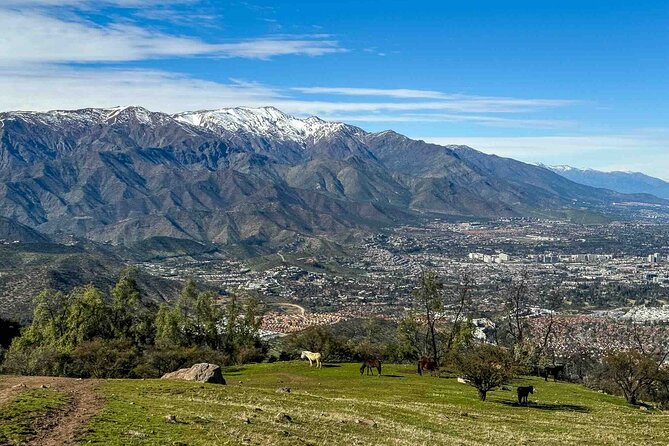 Private Half-Day Andes Hiking Experience from Santiago - The First Climb: Short, Steep, and Worth Taking Slowly