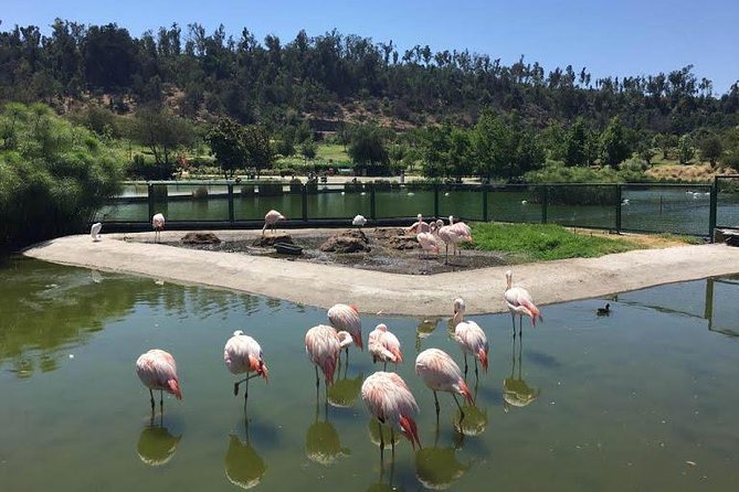 Private Half Day Tour in Santiago - Bicentennial Park and the polished east side