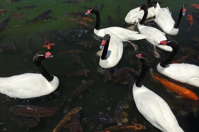 Private Half Day Tour in Santiago - Mercado Central and a taste of the coast