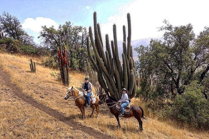 Private Horse Riding with Cheese and Wine in the Andes - From Santiago streets to native forest in 20 minutes