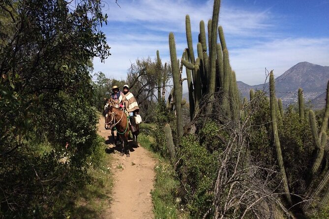 Private Horse Riding with Cheese and Wine in the Andes - The descent is easier, but still needs attention