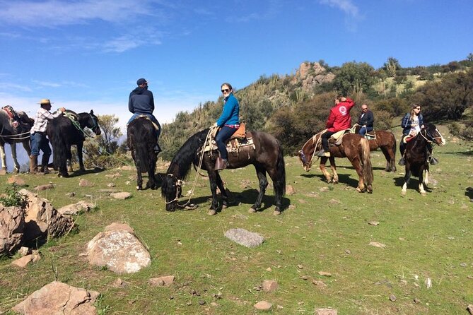 Private Horse Riding with Cheese and Wine in the Andes - Farm-made cheese, wine, and barn animals