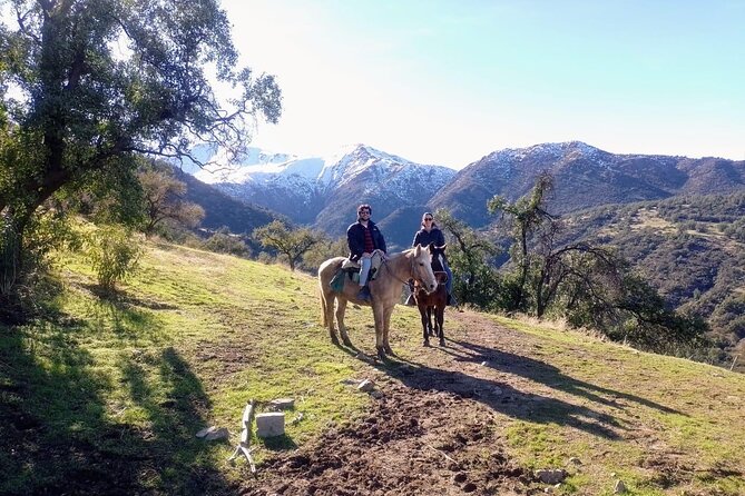 Private Horse Riding with Cheese and Wine in the Andes - Meeting the Chilean horses and arrieros