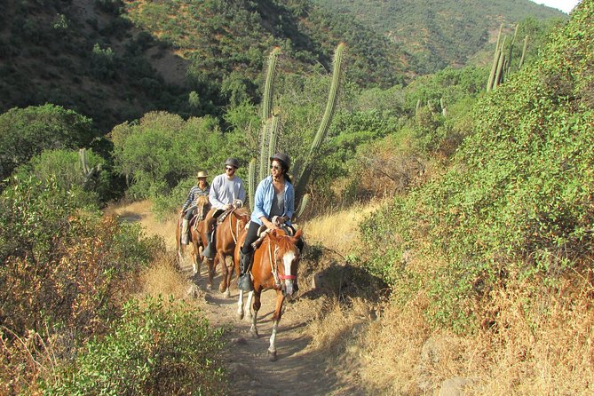 Private Horseback Adventure in the Andes, with Picnic & Wine - Leaving Santiago for the Cordillera