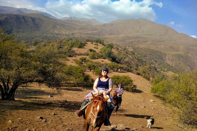 Private Horseback Adventure in the Andes, with Picnic & Wine - A ranch picnic with wine, coffee, and local flavor